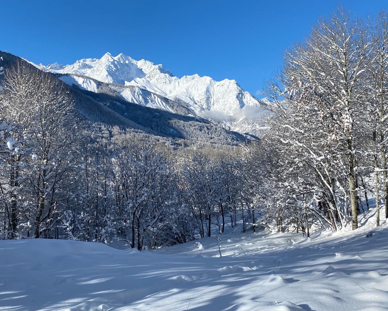 La forêt à coté du chalet sous la neige. Prêt pour une balade en raquettes?
